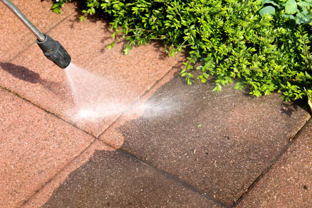 Best Roof Pressure Washing  in Byron, IL